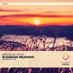 Slovakian Meadows