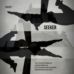 Seeker & Remixes