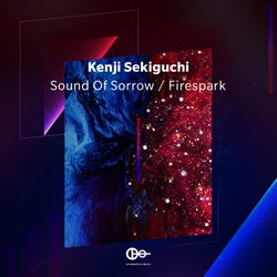 Sound Of Sorrow / Firespark