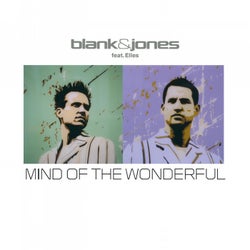 Mind of the Wonderful (All Mixes)