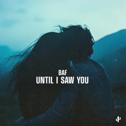 Until I Saw You