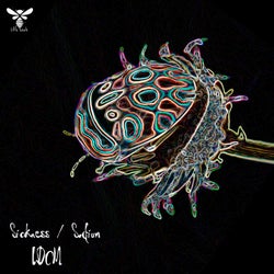 Sicness / Sodium EP