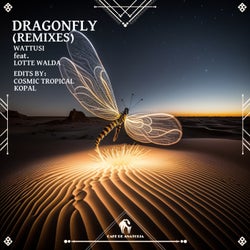 Dragonfly (Remixes)