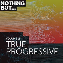 Nothing But... True Progressive, Vol. 11