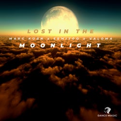 Lost In The Moonlight