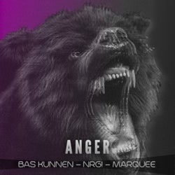 Anger - Remixes 2021
