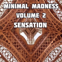 Minimal Madness Sensation Vol.2 (BEST SELECTION OF MINIMAL CLUB TRACKS)