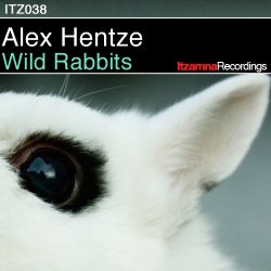 Wild Rabbits EP