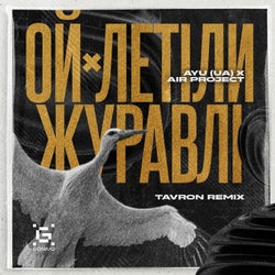 Oy, letily zhuravli (Tavron Extended Remix)