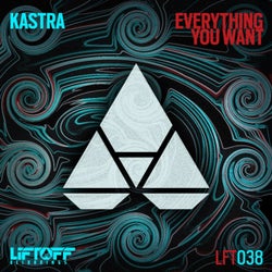 Everything You Want (Extended Mix)