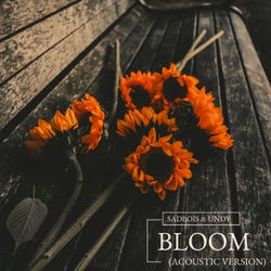 Bloom (Acoustic)