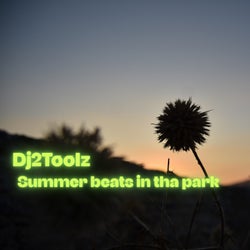 Summer beats in tha park