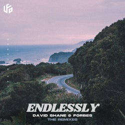 Endlessly (The Remixes)