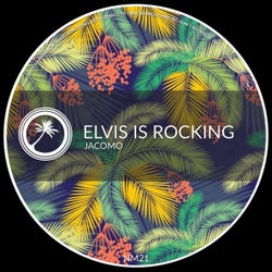 Elvis is Rocking
