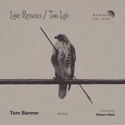 Love Remains / Too Late