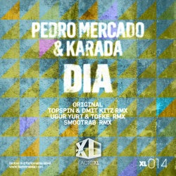 Pedro Mercado DIA Chart June 2012