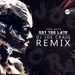 Not Too Late (DJ Joe Craig Remix)