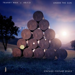 Under The Sun (Vintage Culture Extended Remix)