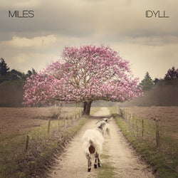 miles
