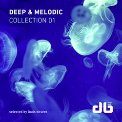 Deep & Melodic Collection 1