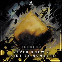 Never Knew / Paint by Numbers