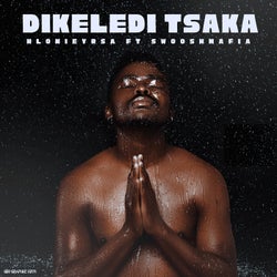 Dikeledi Tsaka