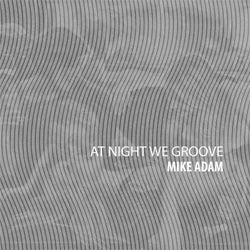 At Night We Groove