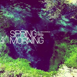 Spring Morning