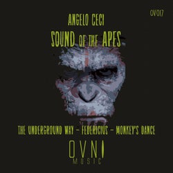 Sound of the Apes