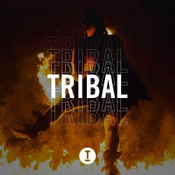 Toolroom Tribal