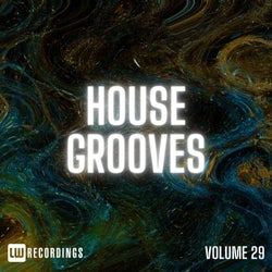 House Grooves, Vol. 29