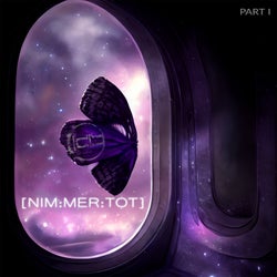 NIM:MER:TOT Part I