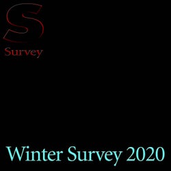 Winter Survey 2020