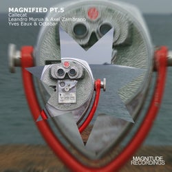 Magnified, Pt. 5