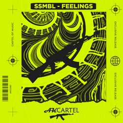 Feelings