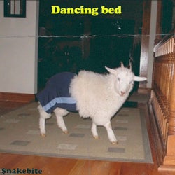 Dancing bed