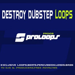 Destroy Dubstep Loops