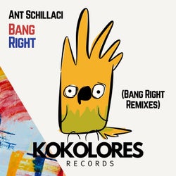 Bang Right (Remixes)