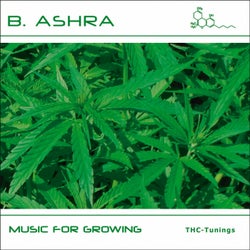 Music For Growing: Potento