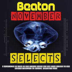Beaton November Selects