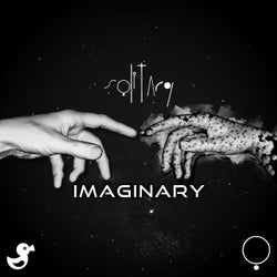 IMAGINARY