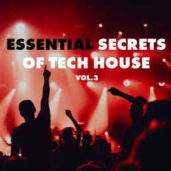 Essential Secrets of Tech House, Vol. 4