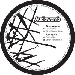 Gastraeada / Spongiae