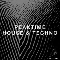 Hotflush Peaktime House And Techno