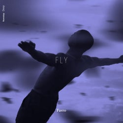 Fly