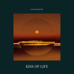 Kiss Of Life