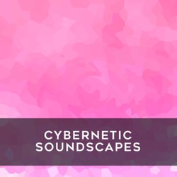 Cybernetic Soundscapes