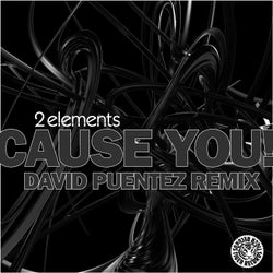 Cause You! (David Puentez Remix)