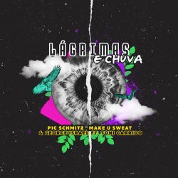 Lagrimas e Chuva (feat. Toni Garrido) [Extended]
