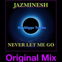 Never Let Me Go (Original Mix)